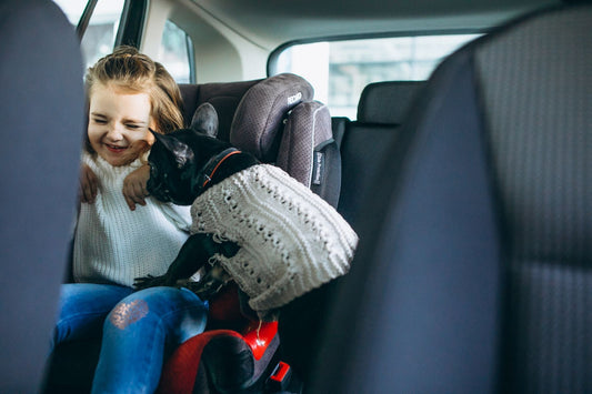 How to Make Your Car Backseat Comfortable for Kids on Long Journeys