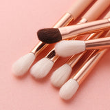 19pcs Pink Makeup Brush Set