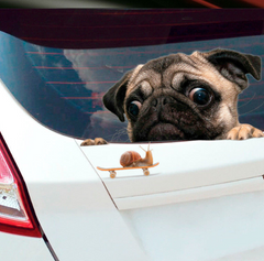 Dark Slate Gray 3D pug looking snail car window car sticker