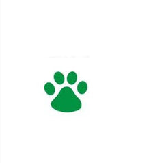 Forest Green Footprints, panda, panda, footprints, bumper stickers