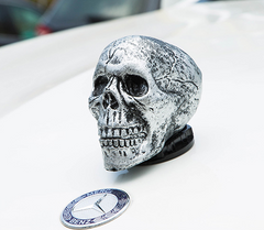 Dark Gray Skull front car cover (Silver)