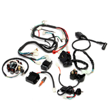 Complete Electrics Wiring Harness for Chinese Dirt Bike ATV QUAD 150-250 300CC