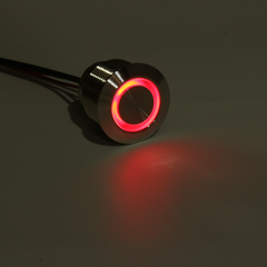 12V 19Mm LED Push Button Panel Dash Momentary Switch Light Car Boat Truck