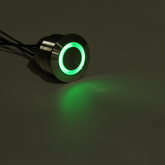 12V 19Mm LED Push Button Panel Dash Momentary Switch Light Car Boat Truck