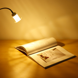 12V Flexible LED Reading Spot Light Bedside Wall Lamp for RV Boat Caravan Motorhome