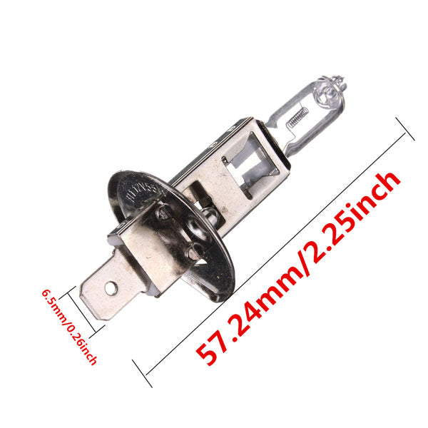 Dark Slate Gray H1 Halogen Headlamp Bulb 448 12V 55W P14.5s 10mm