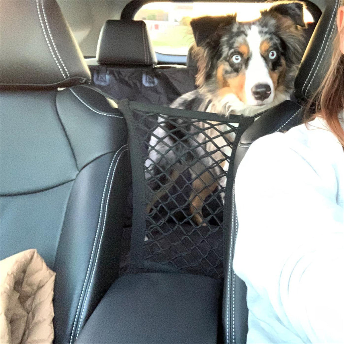 Dog Pet Net Isolation Fence Elastic Safety Travel Cat Pet Back Seat Barrier - Auto GoShop